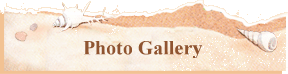 Photo Gallery