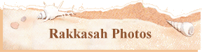 Rakkasah Photos