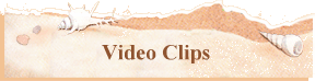 Video Clips