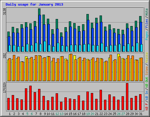 Daily usage for January 2013