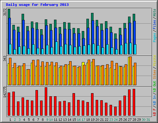 Daily usage for February 2013