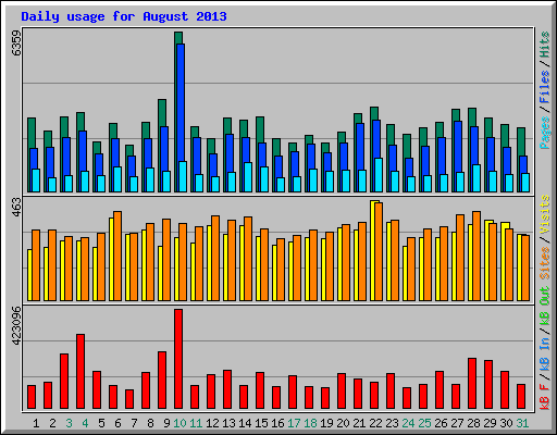 Daily usage for August 2013