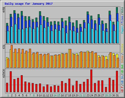 Daily usage for January 2017