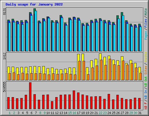 Daily usage for January 2022