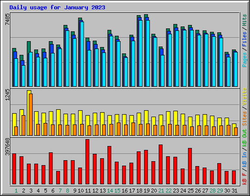 Daily usage for January 2023