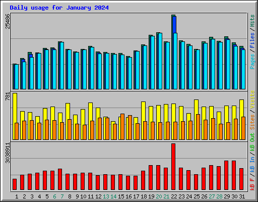 Daily usage for January 2024