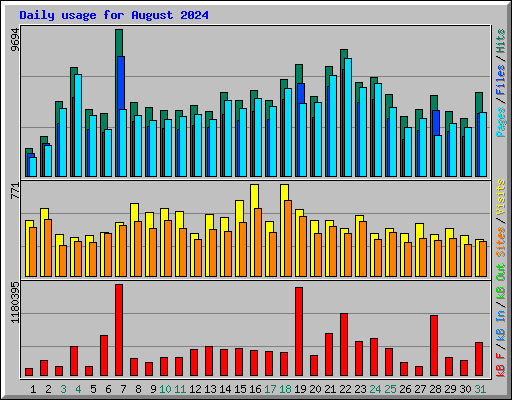 Daily usage for August 2024