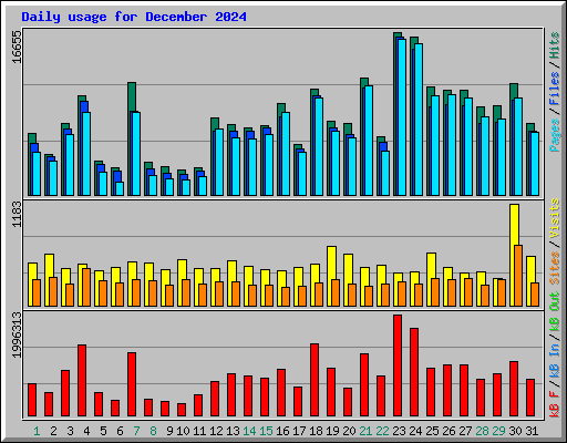 Daily usage for December 2024