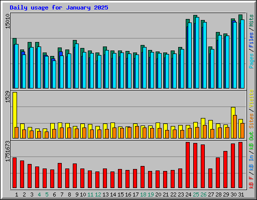 Daily usage for January 2025