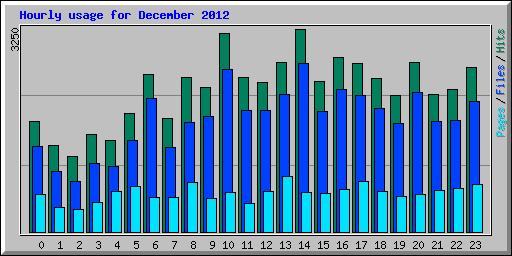 Hourly usage for December 2012