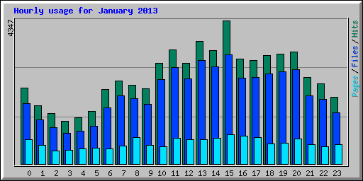 Hourly usage for January 2013