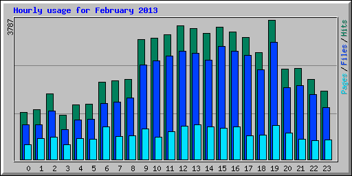 Hourly usage for February 2013