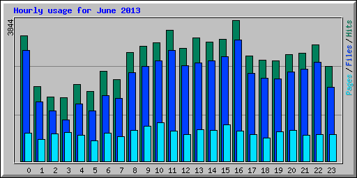 Hourly usage for June 2013