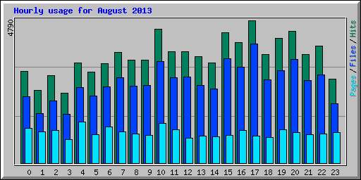 Hourly usage for August 2013