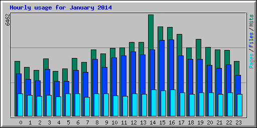 Hourly usage for January 2014