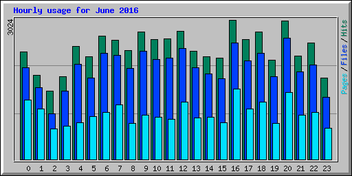 Hourly usage for June 2016