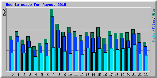 Hourly usage for August 2016