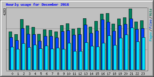 Hourly usage for December 2016