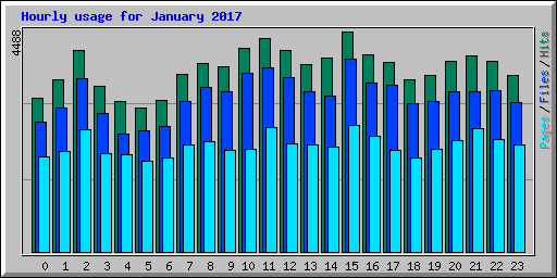 Hourly usage for January 2017