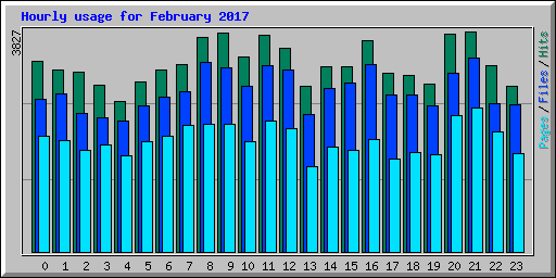 Hourly usage for February 2017