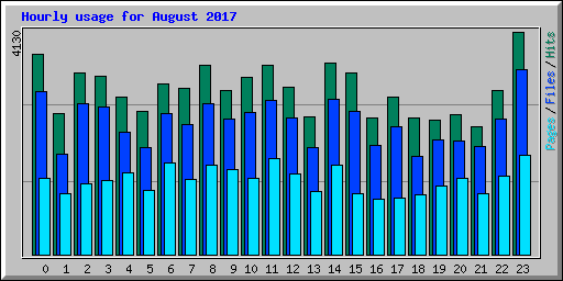 Hourly usage for August 2017