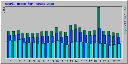 Hourly usage for August 2018