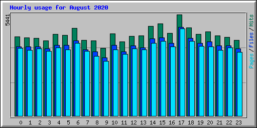 Hourly usage for August 2020