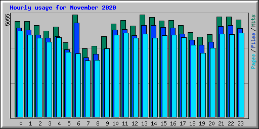 Hourly usage for November 2020