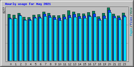 Hourly usage for May 2021