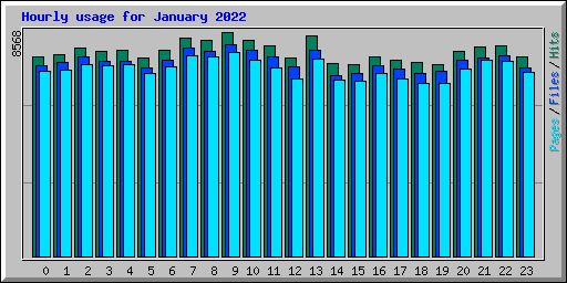 Hourly usage for January 2022