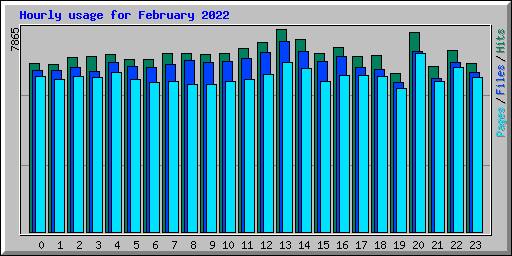 Hourly usage for February 2022