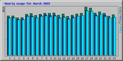 Hourly usage for March 2022