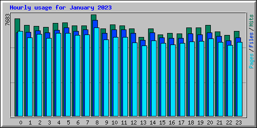 Hourly usage for January 2023
