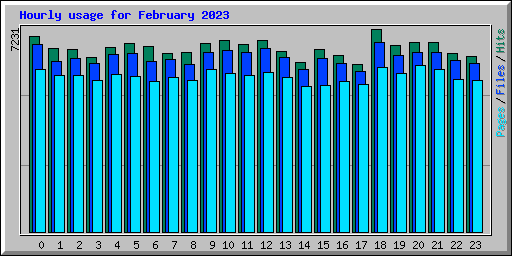 Hourly usage for February 2023