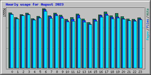 Hourly usage for August 2023