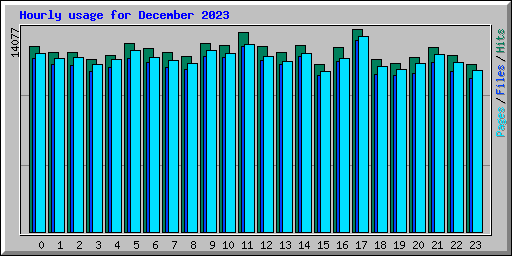 Hourly usage for December 2023