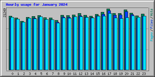 Hourly usage for January 2024