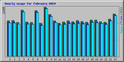 Hourly usage for February 2024