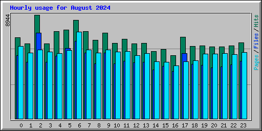 Hourly usage for August 2024