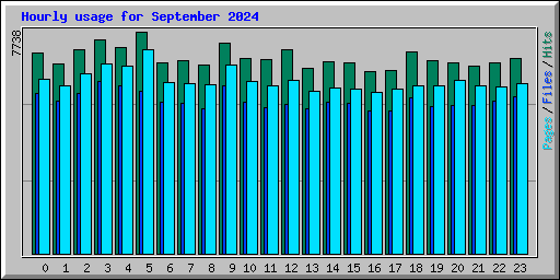 Hourly usage for September 2024