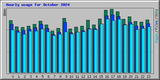 Hourly usage for October 2024
