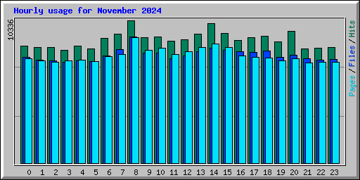 Hourly usage for November 2024