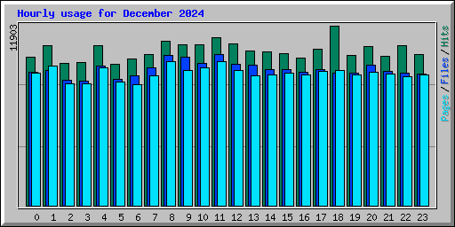Hourly usage for December 2024