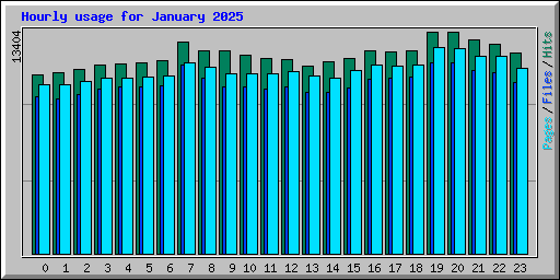 Hourly usage for January 2025