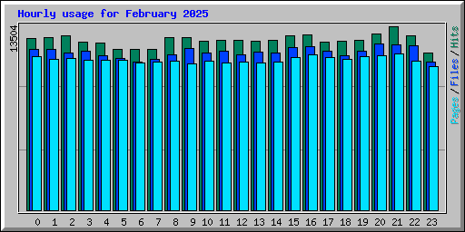 Hourly usage for February 2025