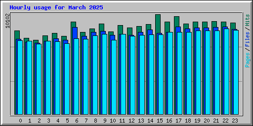 Hourly usage for March 2025