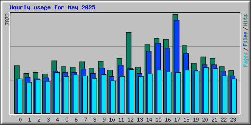 Hourly usage for May 2025