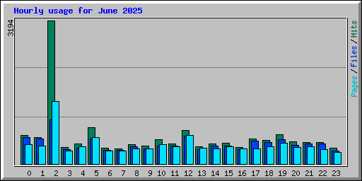 Hourly usage for June 2025