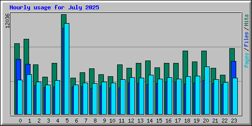 Hourly usage for July 2025