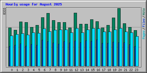 Hourly usage for August 2025